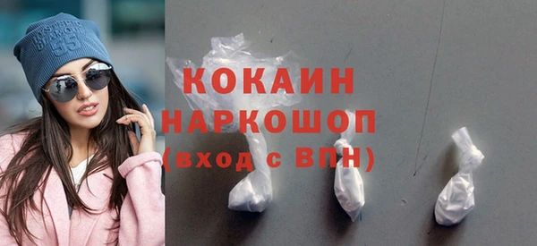 крисы Каменногорск