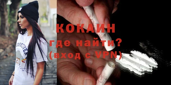 крисы Каменногорск