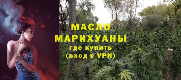 крисы Каменногорск