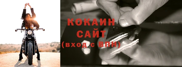 крисы Каменногорск