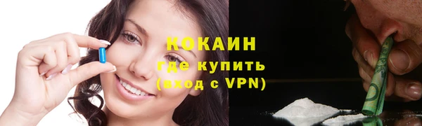 крисы Каменногорск