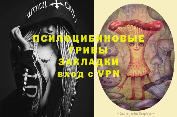 крисы Каменногорск