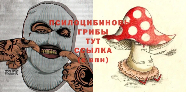крисы Каменногорск