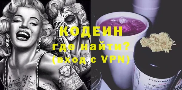 крисы Каменногорск