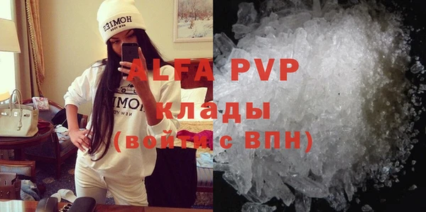 крисы Каменногорск