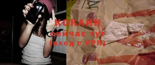 метадон Каменка
